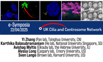 Image: https://www.eventbrite.co.uk/e/bscb-gensoc-uk-cilia-network-e-symposia-series-tickets-1145296977089?aff=oddtdtcreator